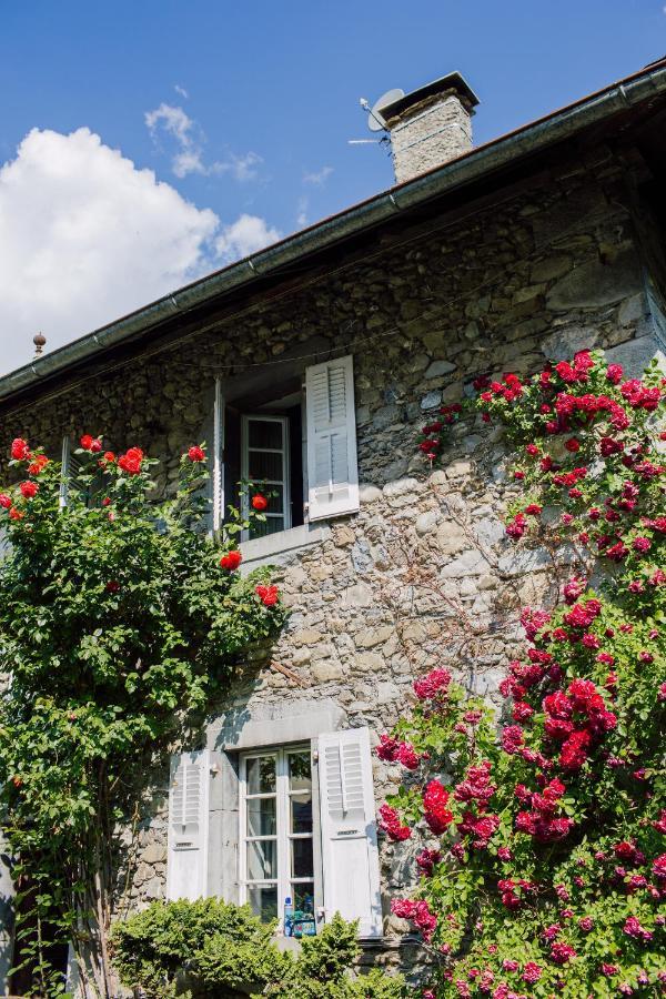 Hotel Mas De La Coutettaz, The Farmhouse Morzine Esterno foto